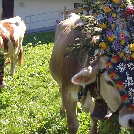 Hotel Gasthof Jaeger Zillertal Schlitters Zewnętrze zdjęcie